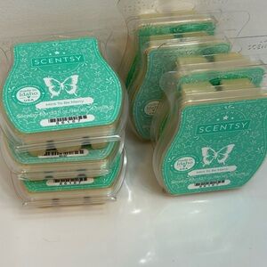 Scentsy Mint To Be Merry Wax Bars 6 full 1 missing 2 cubes